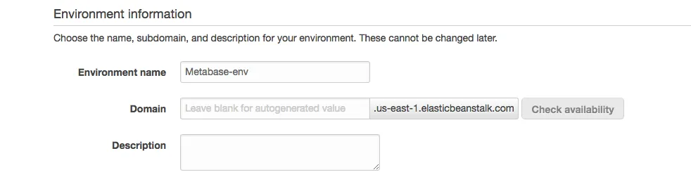 Elastic Beanstalk Environment Information