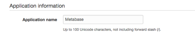 Elastic Beanstalk ApplicationInformation