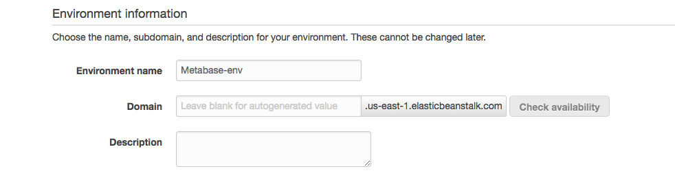 Elastic Beanstalk Environment Information